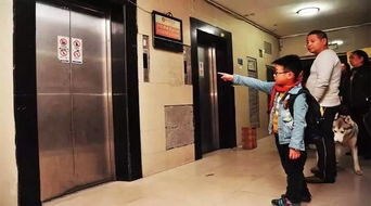 乘梯10大危險動作,很多人因此而喪命,看完轉出去,讓大家都知道 電梯