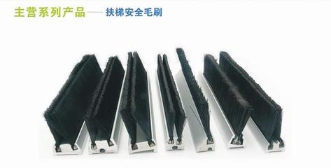 刷業(yè)協(xié)會領(lǐng)導小組考察惠眾扶梯安全毛刷