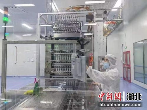 中新網(wǎng)湖北 湖北咸安 開年即開跑 沖刺 開門紅