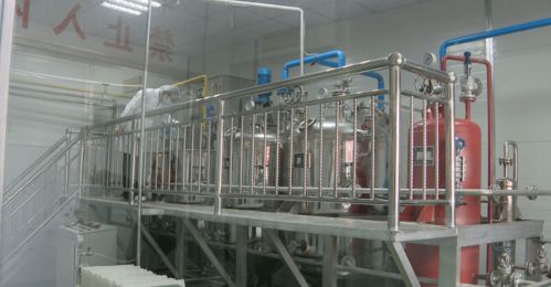 魯甸縣 引進企業(yè)精深加工 助力核桃產業(yè)轉型升級