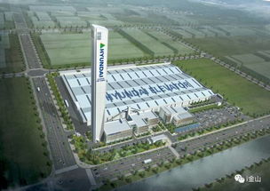 建設中的金山有多美 這些 巨無霸 項目造的怎樣了