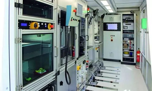 交卷 中國(guó)上半年gdp同比增長(zhǎng)6.8 世俱杯有望明年落戶中國(guó)