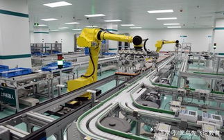 大學 脫發(fā)率 最高的3大專業(yè),學習很辛苦,但畢業(yè)后卻很搶手