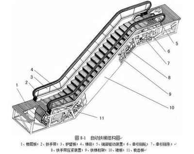 商用電梯 臺(tái)階式電梯 扶梯 自動(dòng)扶梯 電梯安裝