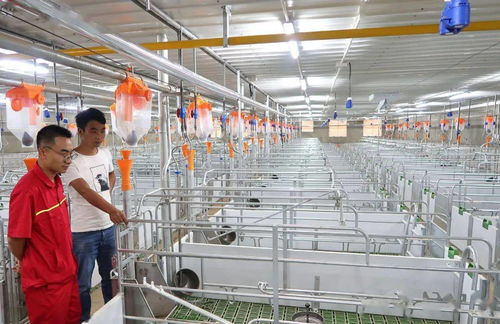 玉溪將打造蔬菜水果畜牧3個百億元產業