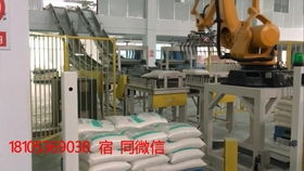 紙袋移動式自動碼垛機 自動包裝碼垛生產線