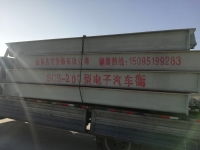 濰坊地磅與自動扶梯產業發展與市場前景分析